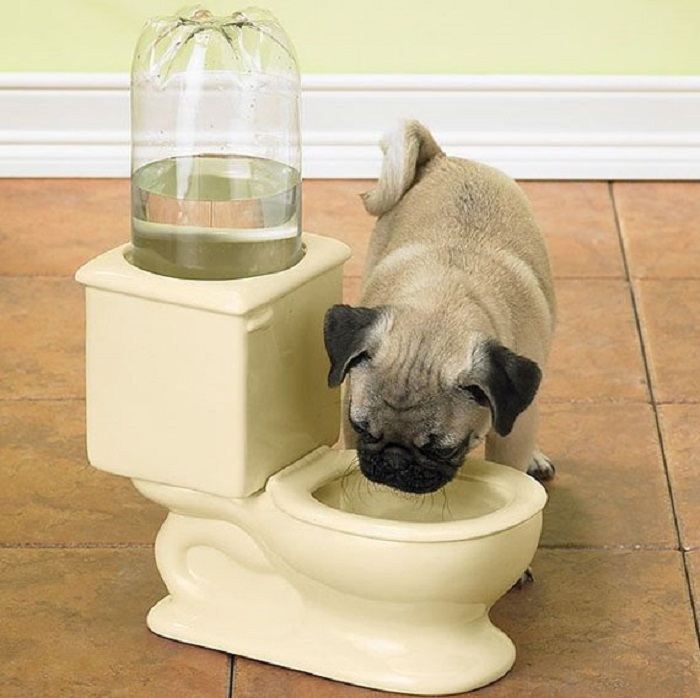 Creative Water Bowl For Pets