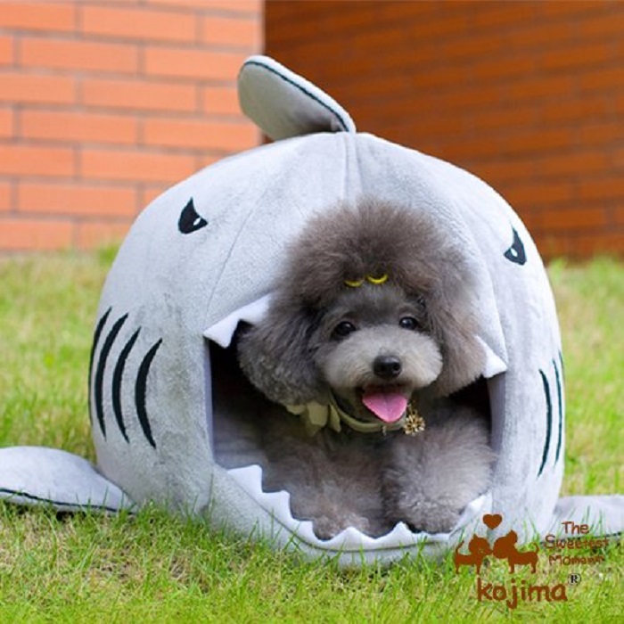 Shark Shaped Dog Bed