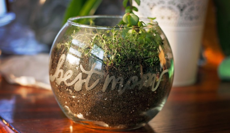 Glass Etched Terrarium for Mom