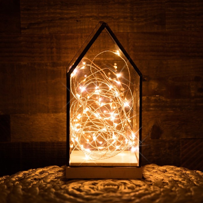 Party String Light Lamp