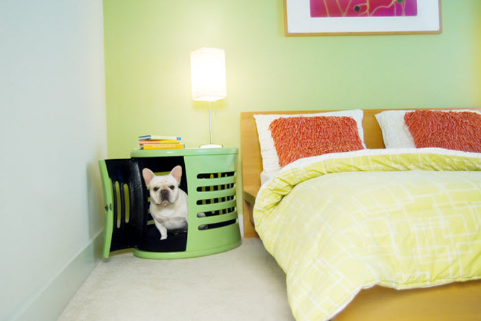 Modern Green kennel idea for Dogs